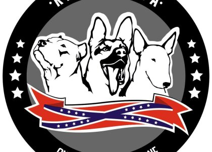 REBBULL START UP 27.4